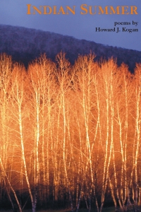 Indian Summer - book cover