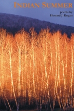 Indian Summer - cover image